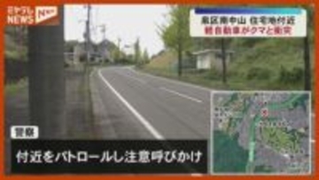 体長 約1.5メートル…路上に飛び出した『クマ』に軽自動車が衝突、仙台市泉区の住宅地付近・宮城