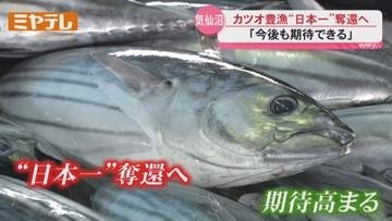 絶好調！気仙沼港カツオ水揚げ 昨年超えで日本一奪還へ＜宮城＞