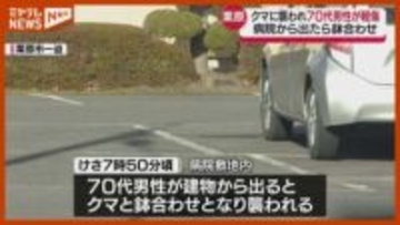 クマと鉢合わせ…男性襲われ顔などにけが　病院の敷地内で　宮城・栗原市
