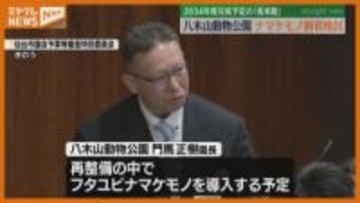 八木山動物公園に「ナマケモノ」が仲間入りへ 宮城・仙台市