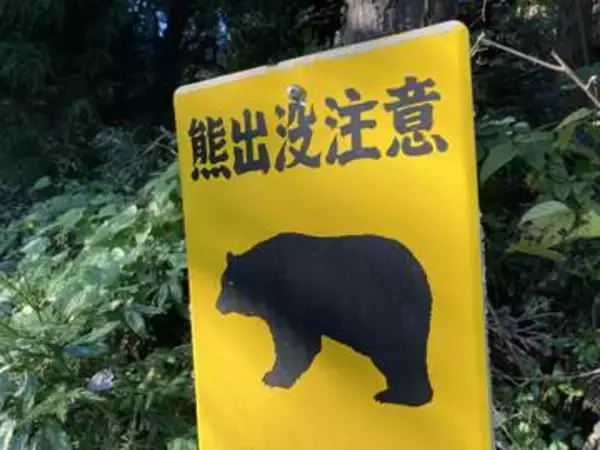 クマ目撃相次ぐ・路上で、河川で、田んぼで、山林で…（宮城県クマ目撃情報）