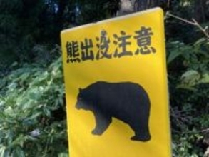 クマ目撃相次ぐ・路上で、河川で、田んぼで、山林で…（宮城県クマ目撃情報）