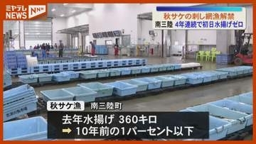 秋サケ刺し網漁解禁も…初日水揚げ4年連続ゼロに＜宮城・南三陸＞