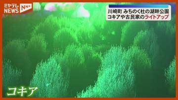 幻想的な空間　コキアや古民家をライトアップ「みちのくふるさと秋灯り」＜宮城・川崎＞