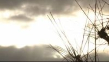 「立春」の陽気で金沢は最高気温が10.4度 週末は強烈な寒気到来で大雪のおそれ