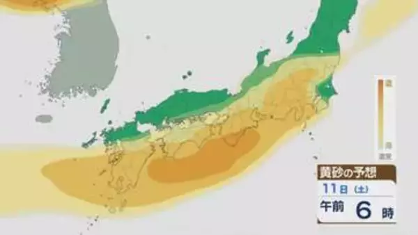 【黄砂情報】大陸からの黄砂 11日(土)は関東にも 12日(日)にかけては北陸や東北でも飛んでくる見込み 飛来予想シミュレーション
