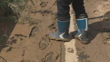 記録的豪雨で堤防2か所が決壊 豪雨から4日後も続く排水作業と農家への打撃