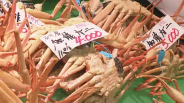 金沢港いきいき魚市 年末恒例「大歳の市」特別価格に正月用の食材求めにぎわう