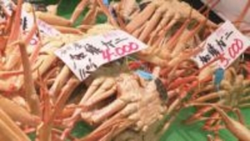 金沢港いきいき魚市 年末恒例「大歳の市」特別価格に正月用の食材求めにぎわう