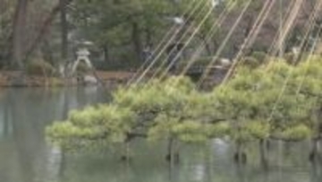 金沢の兼六園 年末年始の無料開園始まる 大みそか～元日は夜通し