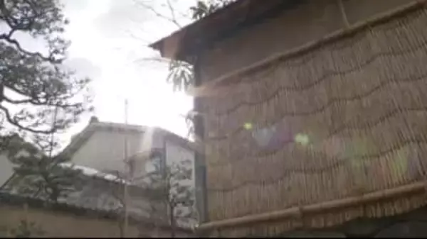 寒さやわらぎ梅咲き始める　週末は４月並みに 石川県内