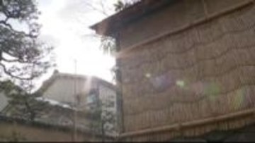 寒さやわらぎ梅咲き始める　週末は４月並みに 石川県内