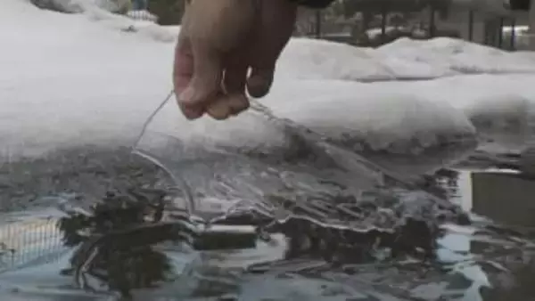 暦の上で春を告げる「立春」 金沢で１６日ぶりに気温２桁を超える見込み 屋根からの落雪などには引き続き注意
