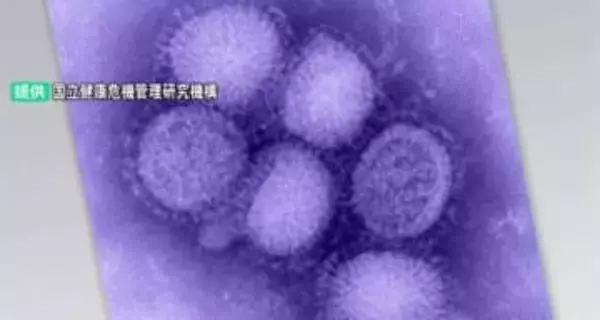 金沢市で警報基準の2倍超過 石川県内インフルエンザ報告数は前週比600人増の2423人に