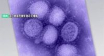 金沢市で警報基準の2倍超過 石川県内インフルエンザ報告数は前週比600人増の2423人に