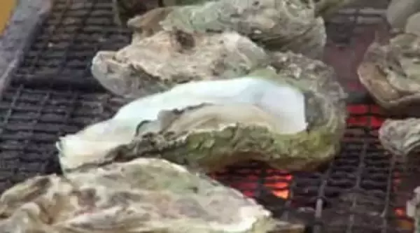 能登半島地震で養殖業者は激減… 日本海のカキを堪能する“雪中ジャンボかきまつり”は今年も中止に 「まつりの対応がもう厳しい」と話す生産者も 必要な10万個のカキの確保はもう無理⁉