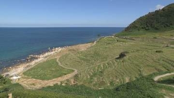 世界農業遺産「能登の里山里海」を 専門家が視察  地震、水害等の状況踏まえ2027年以降の保全計画策定へ