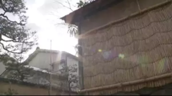 金沢・冬の風物詩「薦」（こも）役目もあと少し 寒さ和らぎ、梅咲き始める