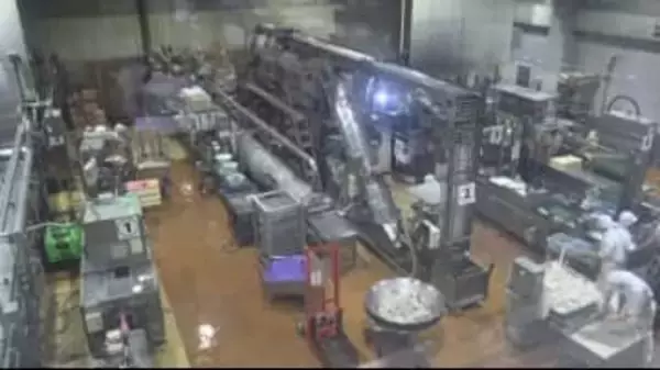 正月用のかまぼこ作りピーク 200年以上続く老舗の味