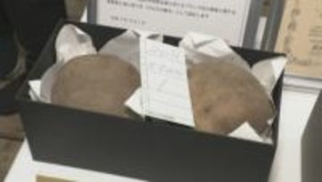 強い粘り気が特徴「加賀丸いも」初競り 最高級プレミアムに5万5000円 6年連続最高値更新