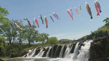 景勝地・十二ヶ滝に鯉のぼり 石川・小松市 住民有志が30年以上前から