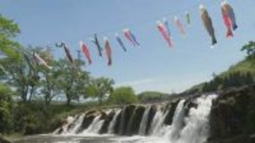 景勝地・十二ヶ滝に鯉のぼり 石川・小松市 住民有志が30年以上前から