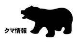 「【クマ目撃情報】石川・白山市の手取川沿いの茂みで成獣のクマ1頭目撃」の画像1