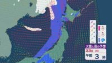 大陸の低気圧からのびる寒冷前線の通過で22日(日)から23日(月)は北陸など日本海側で雨や雪に 週明けも25日(水)にかけ太平洋側でも雨が降りやすい天気に 雨・雪と風シミュレーション