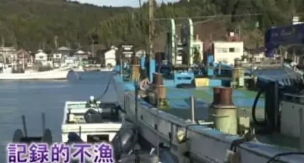 「ブリはきょう市場に一本だけ」冬の味覚 “寒ブリ” 石川では記録的不漁 前年のわずか3割にとどまる