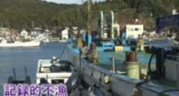 「ブリはきょう市場に一本だけ」冬の味覚 “寒ブリ” 石川では記録的不漁 前年のわずか3割にとどまる