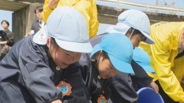 「大きくなあれ」金沢市で保育園児らが川に稚アユ放流