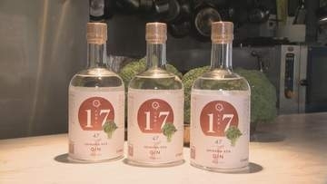 カニやエビだけじゃない！「実は野菜も美味しい」を全国へ　石川の女性たちが仕掛けるブロッコリージンプロジェクト