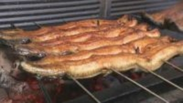 ウナギ仕入れ価格2割安も物価高で消える恩恵 店主「値段上げずに商売できるのは本当ありがたい」
