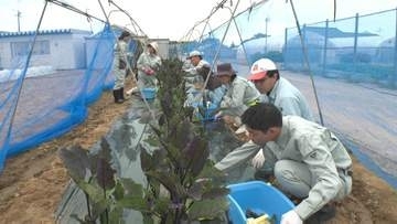 これからの人生は農業！第二の人生で新たなことに挑戦！