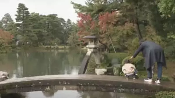 連休最終日も雨の金沢…「文化の日」国の特別名勝・兼六園は無料開園
