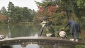 連休最終日も雨の金沢…「文化の日」国の特別名勝・兼六園は無料開園