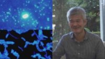 “鼻くそ”ができるメカニズムが雲発生のナゾを解く!? 近畿大学・牧輝弥教授が唱える「雲の源はカビ」説
