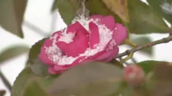 強い寒気到来の3連休 警報級の大雪に注意・警戒 平地でもまとまった積雪見込み