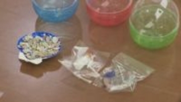 能登の魅力を次世代がつなぐ 柳田小学校の児童12人が金沢市で海洋ごみアートや特産ブルーベリーをPR