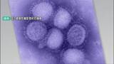 「石川県内のインフルエンザ感染 1医療機関当たりの患者が40人超 警報レベルの30人を大きく上回るレベル続く」の画像1
