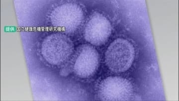 石川県内のインフルエンザ感染 1医療機関当たりの患者が40人超 警報レベルの30人を大きく上回るレベル続く