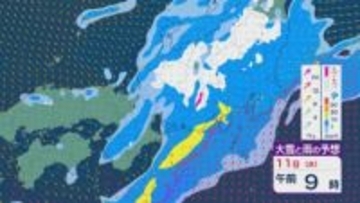 11日(水)の祝日は午前中を中心に近畿から関東では雨に 気温が高く積雪の多い地域はなだれなどに注意を 雨・雪と風シミュレーション