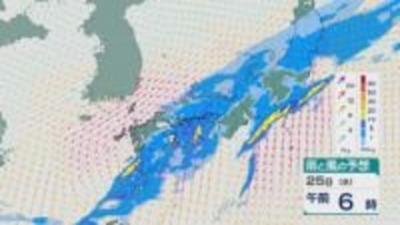 25日(水)は低気圧や前線の影響で西日本から東日本で大気の状態が非常に不安定に 乾燥が続く関東などでは「恵みの雨」に 雨と風シミュレーション