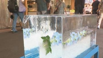 夏の風物詩 近江町市場に氷柱設置