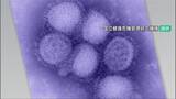 「「2週連続で警報レベル」止まらぬインフルエンザ感染 石川県1617人(2/23～3/1) 10歳から17歳で459人」の画像1