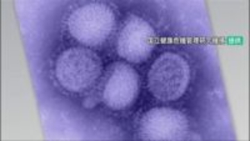 「2週連続で警報レベル」止まらぬインフルエンザ感染 石川県1617人(2/23～3/1) 10歳から17歳で459人