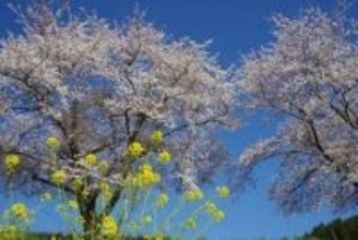 「復興の春を迎えて」能登半島地震発生から2年3か月 輪島市町野町出身のシナリオライターが見つめる“ふるさとの今”