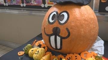ハロウィーン前にお化けの仮装をした北海道産“ジャンボカボチャ” 石川・小松空港に登場