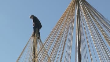国の特別名勝・兼六園で唐崎松の雪吊り 冬の訪れを告げる 年に一度の風物詩 石川・金沢市
