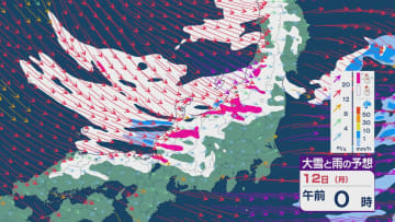 【大雪情報】11日(日)は強い冬型に 大雪をもたらす「JPCZ」が発生し東北日本海側に その後は南下し北陸にも影響のおそれ 3連休は交通障害などに注意・警戒を雪・雨と風シミュレーション